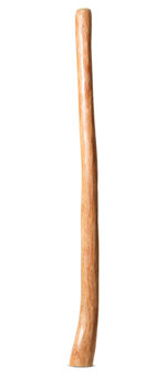 Medium Size Natural Finish Didgeridoo (TW1480)